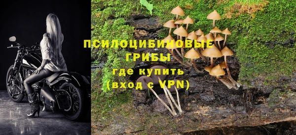 PSILOCYBIN Алексеевка